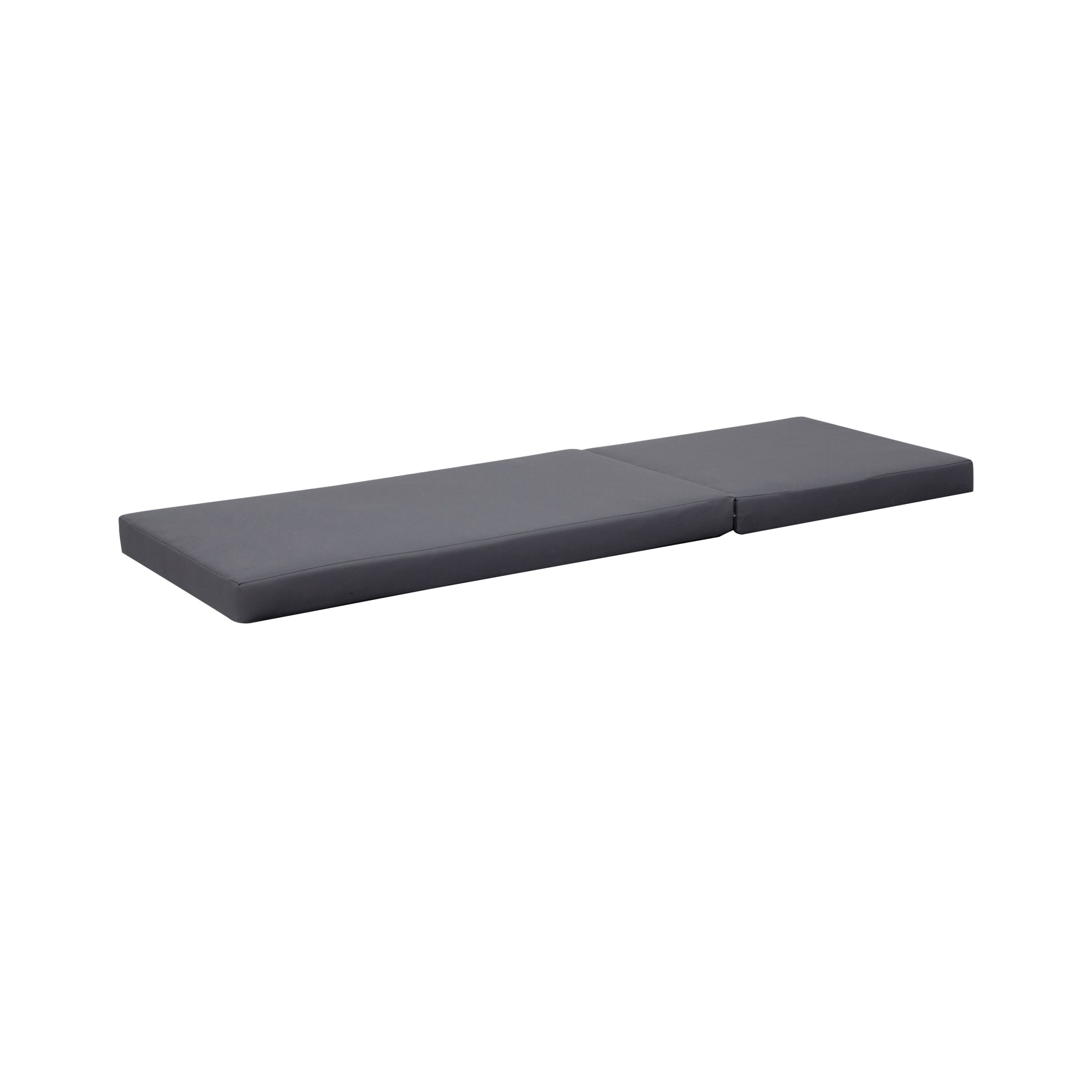 BROADWAY/IAN CHAISE LOUNGE CUSHION - Image 3