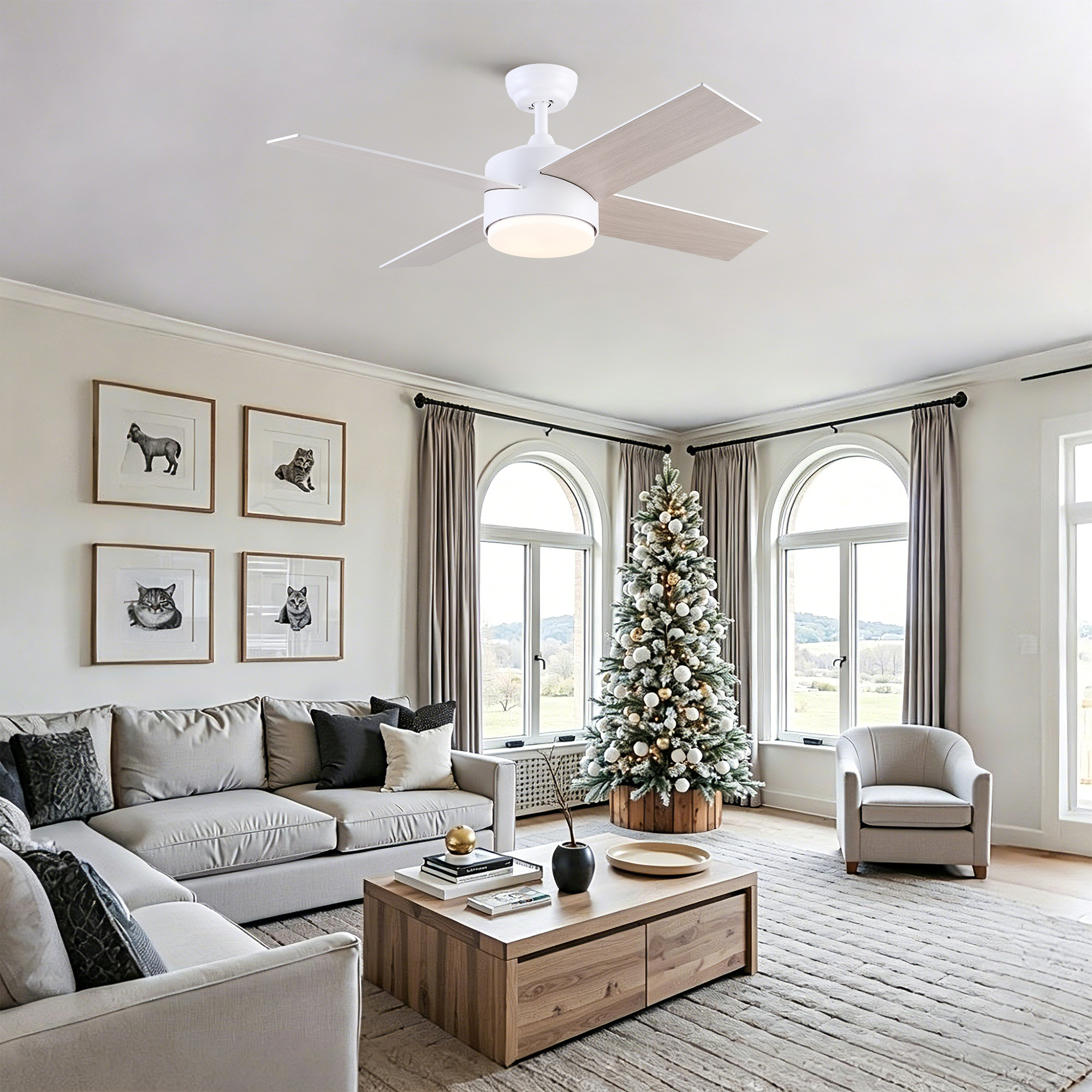 44" Ceiling Fan with Lights & Remote, Matte White Modern Fan, Reversible DC Motor, 6 Speeds, 3-Color Dimmable LED, Quiet Timer for Indoor Bedroom Living Room - Image 6