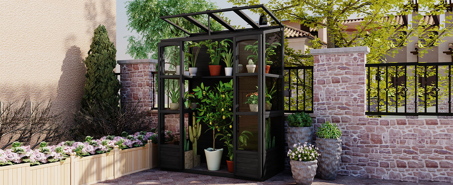TOPMAX 78-inch Wooden Greenhouse Cold Frame with 4 Independent Skylights and 2 Folding Middle Shelves, Walk-in Outdoor Greenhouse, Black - Image 3