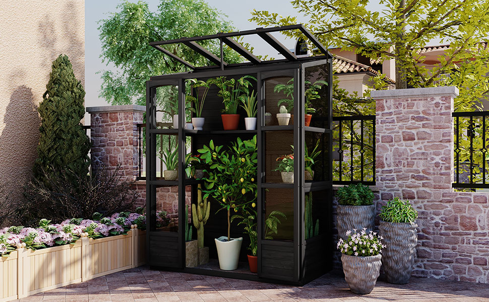 TOPMAX 78-inch Wooden Greenhouse Cold Frame with 4 Independent Skylights and 2 Folding Middle Shelves, Walk-in Outdoor Greenhouse, Black - Image 2