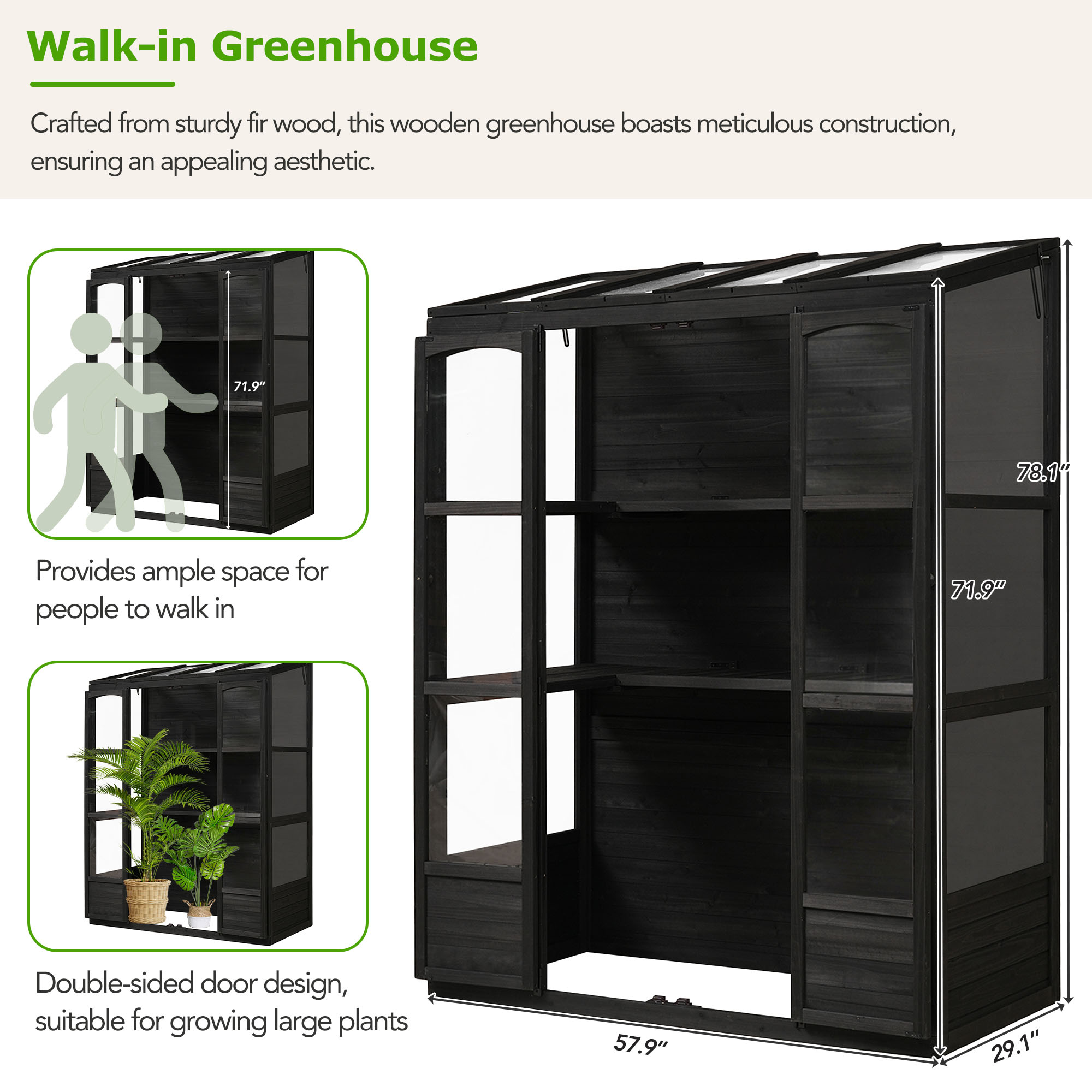 TOPMAX 78-inch Wooden Greenhouse Cold Frame with 4 Independent Skylights and 2 Folding Middle Shelves, Walk-in Outdoor Greenhouse, Black - Image 4
