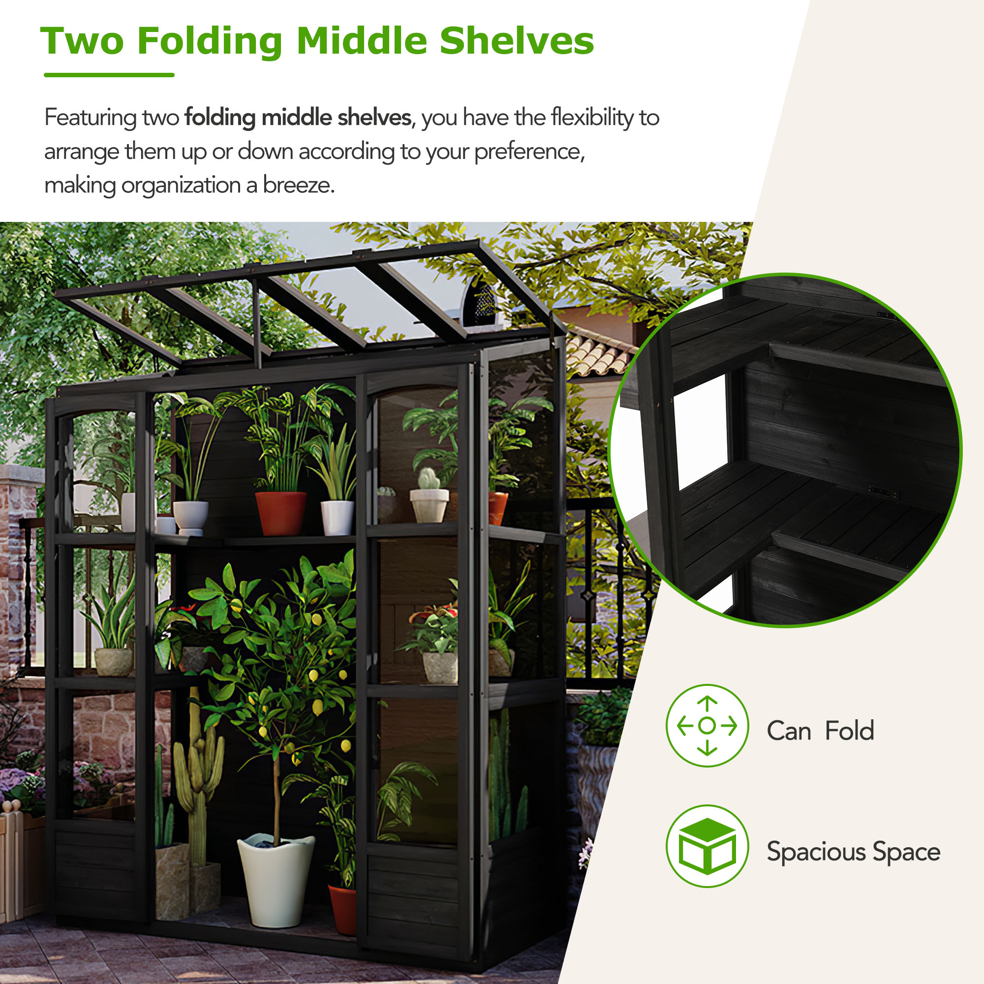 TOPMAX 78-inch Wooden Greenhouse Cold Frame with 4 Independent Skylights and 2 Folding Middle Shelves, Walk-in Outdoor Greenhouse, Black - Image 6