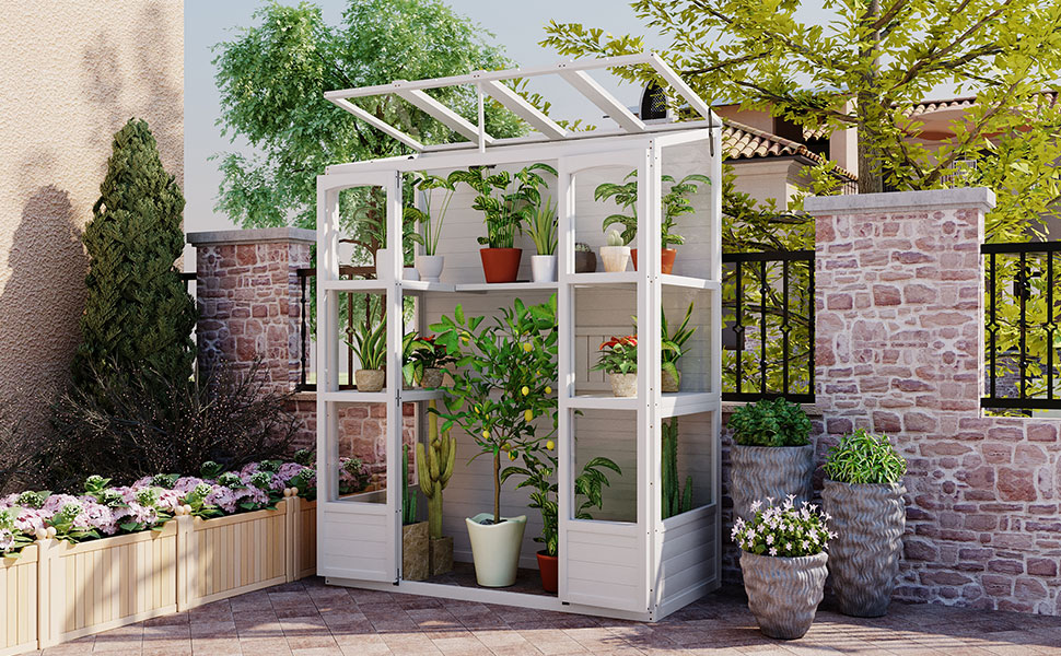 TOPMAX 78-inch Wooden Greenhouse Cold Frame with 4 Independent Skylights and 2 Folding Middle Shelves, Walk-in Outdoor Greenhouse, White - Image 2