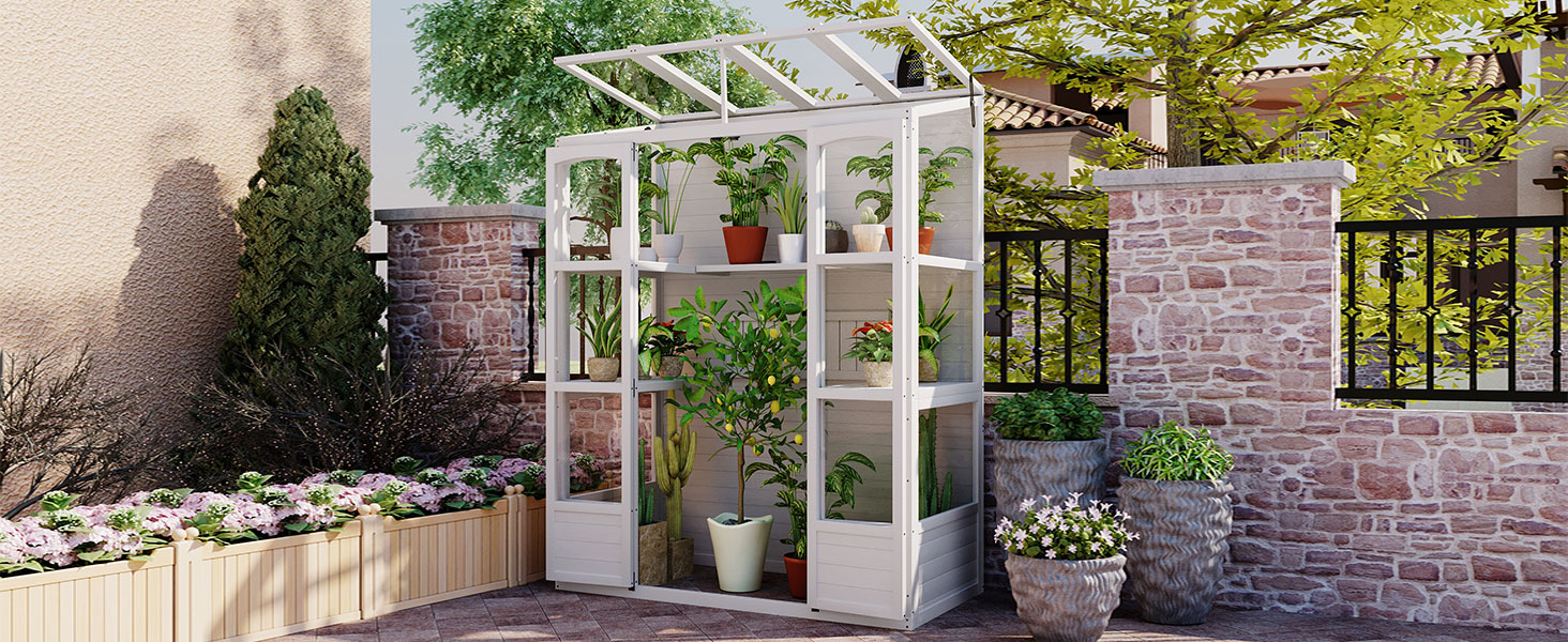 TOPMAX 78-inch Wooden Greenhouse Cold Frame with 4 Independent Skylights and 2 Folding Middle Shelves, Walk-in Outdoor Greenhouse, White - Image 3