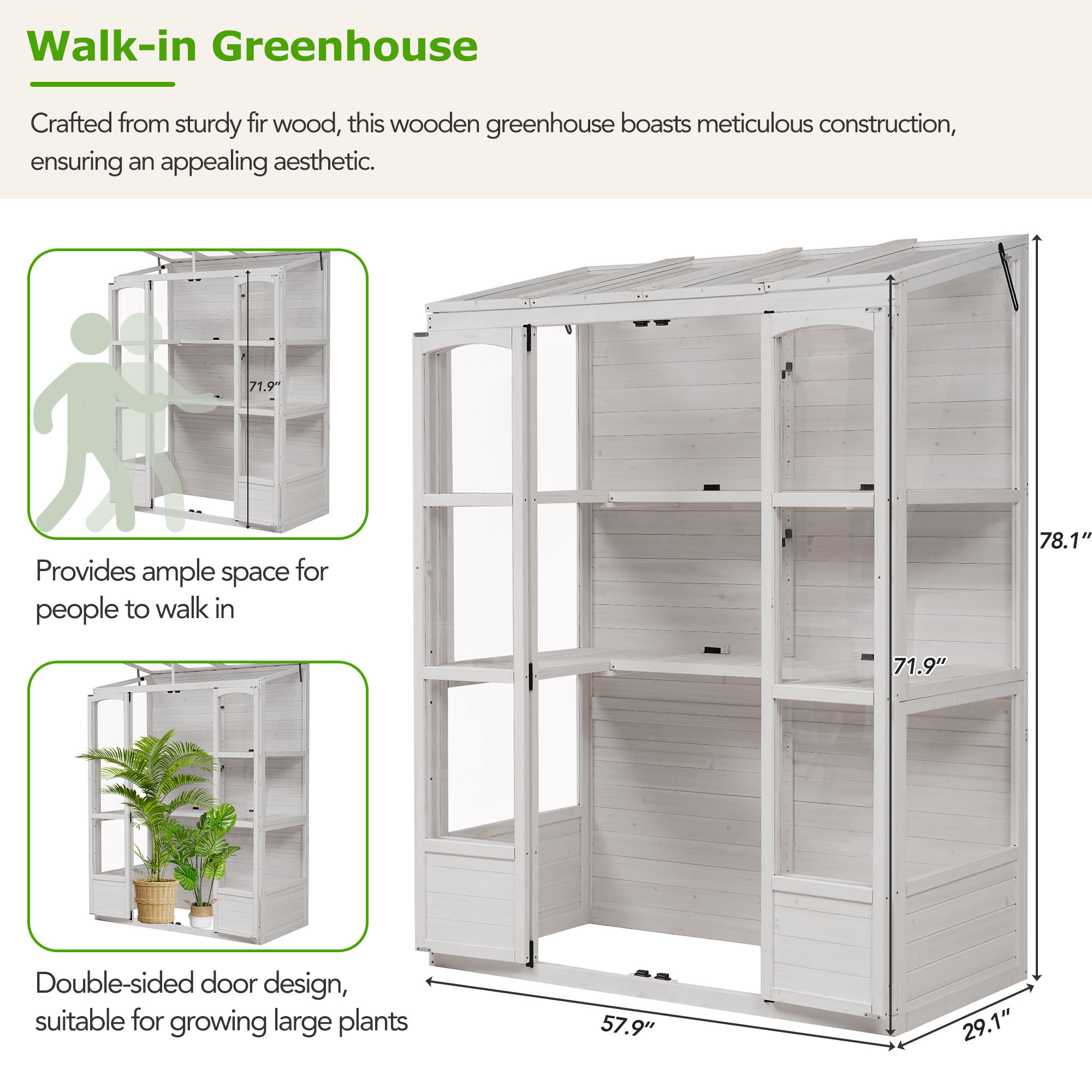 TOPMAX 78-inch Wooden Greenhouse Cold Frame with 4 Independent Skylights and 2 Folding Middle Shelves, Walk-in Outdoor Greenhouse, White - Image 4