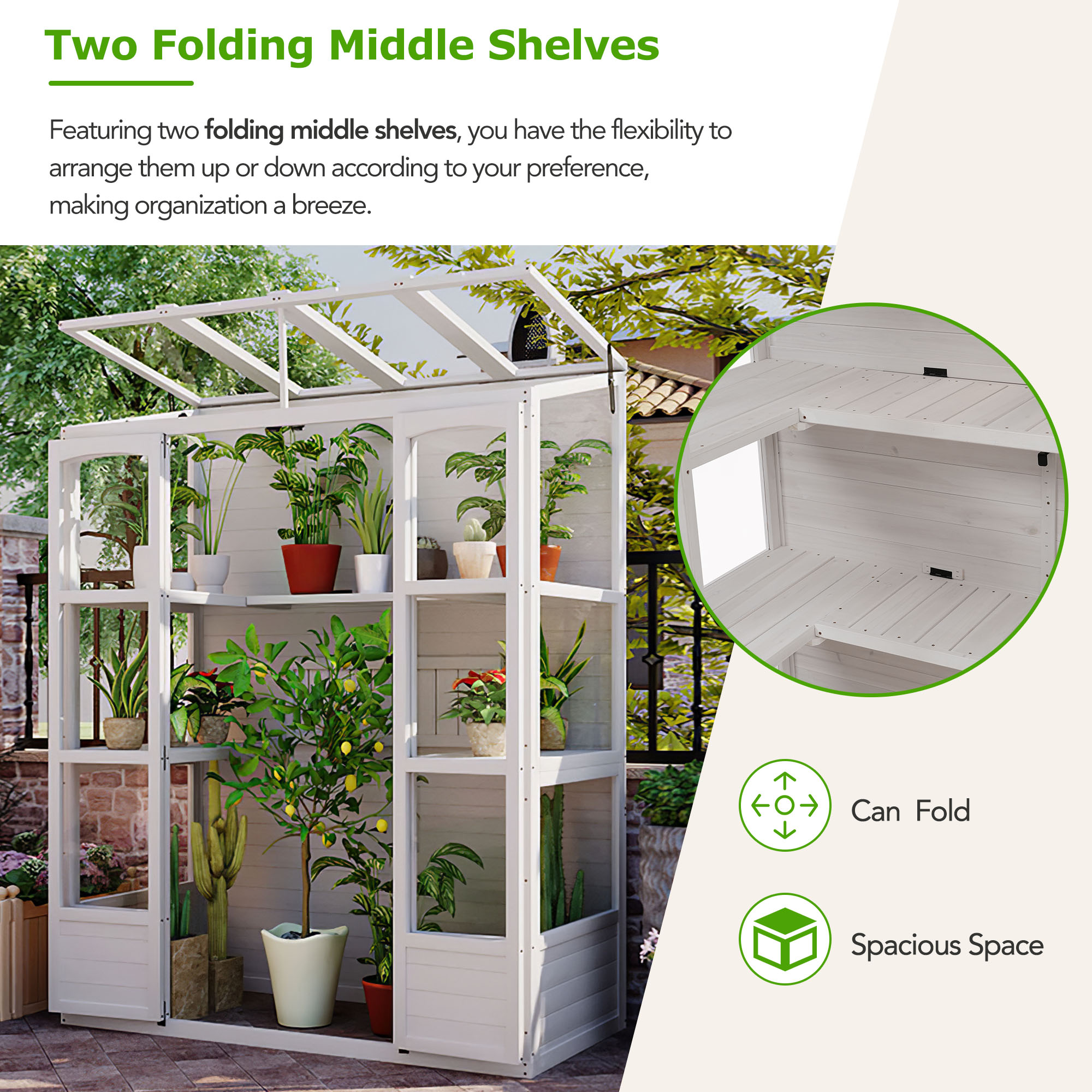 TOPMAX 78-inch Wooden Greenhouse Cold Frame with 4 Independent Skylights and 2 Folding Middle Shelves, Walk-in Outdoor Greenhouse, White - Image 6