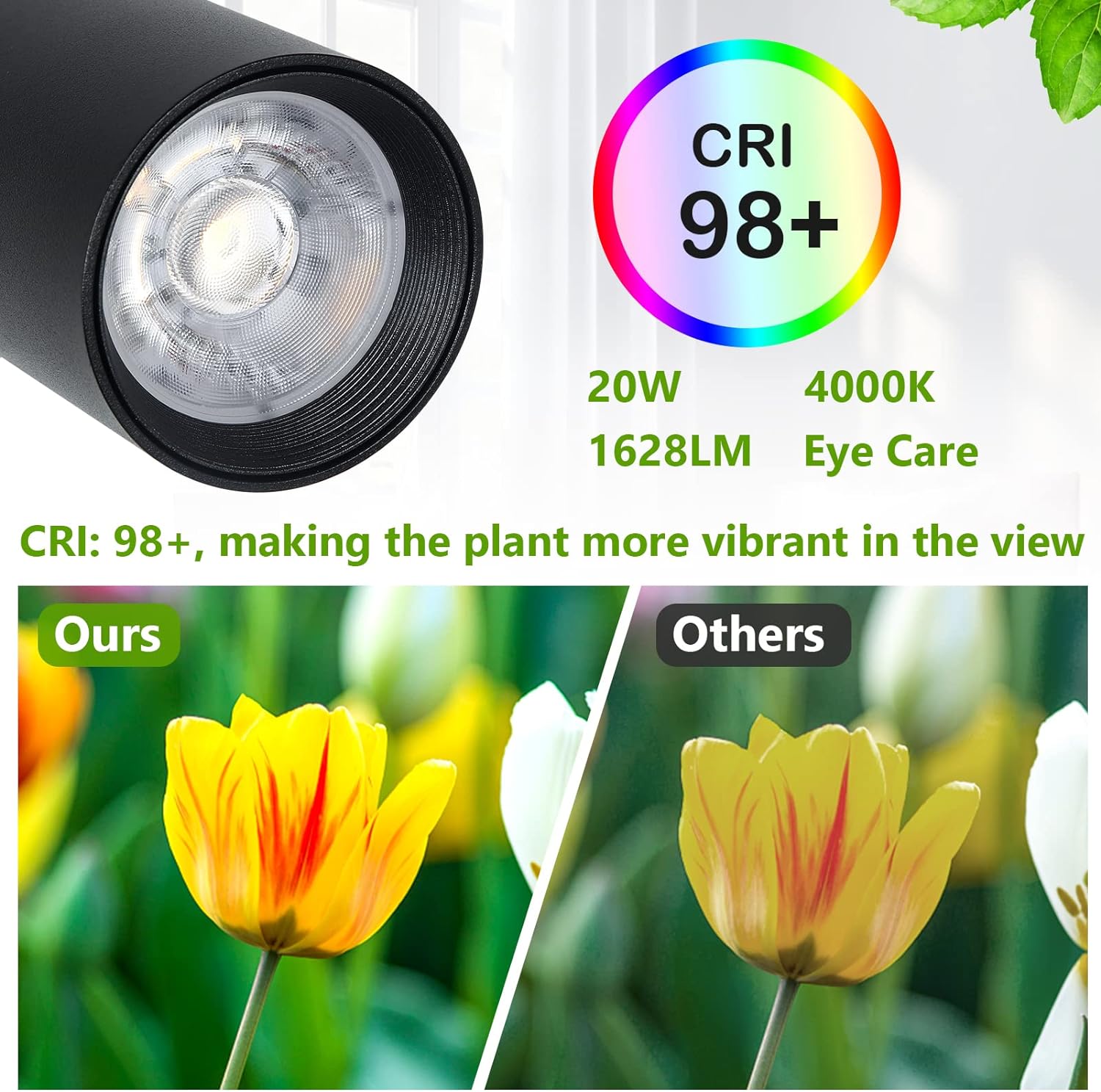 Grow Lights Stand for Indoor Plants Full Spectrum Tall Plant Light for Indoor Growing with 20W COB Plant Light Bulb,4/8/12H Timer, Led Growth Floor Lamp for Large Plant Seedling(6 Level Height) - Image 6